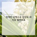 스마트한의원 이미지