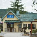 유정숲