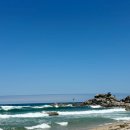 고성인력 | 고성 해수욕장 스노쿨링 성지, 사람 없고 물 맑은 가진해변