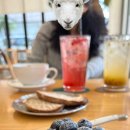 방배천로6-16 이미지