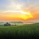 석양목장 이미지