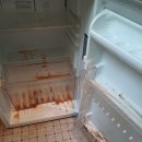 금빛크린 이미지