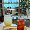 티의수채화TEA.CHAE