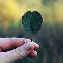 일희재한의원 이미지