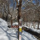 두꺼비로(3-266) 네이버블로그