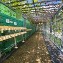 고미마을회관 이미지