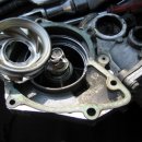 오토보스 코리아 이미지