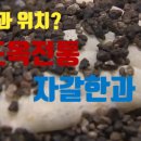 도옥전통한과 이미지