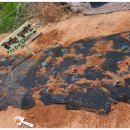 에벤에셀농장 이미지