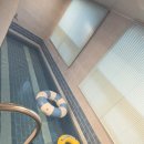 더 코지 이미지