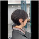 인스헤어 - 안산시 단원구 | 인스헤어
