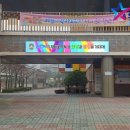 솔올중학교 이미지