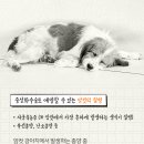 가야동물병원 이미지