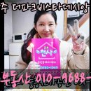 광주114 | 경기광주 더파크비스타데시앙 114타입 사전점검 후기｜펜트하우스급 구조, 매매 문의가 몰리는 이유