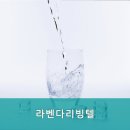 라벤더고시원