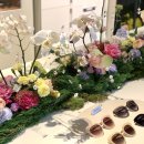 이자벨앤코 이미지