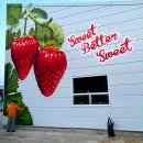 흰돌농장 이미지