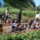 고개농장 이미지