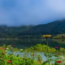 강가의아침 이미지