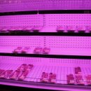 남포식육식당 이미지