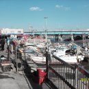 보개농업협동조합 이미지