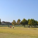 백진공원(파크골프장) | 담양군 백진공원파크골프장 후기 &amp; 실전 팁 안