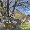 아낌없이 퍼주는 텃밭