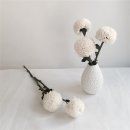 디어퐁퐁 이미지