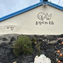 춘식이와옥희 | 제주애견동반 소품샵 춘식이와 옥희 귤모자 후기