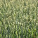 인지심리학 이미지