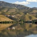 와인과 세계문화 이미지