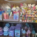 하빛율빠꿈사리 이미지