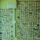 볼음도길 이미지