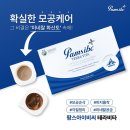 모던팜 | 팜스테라비타 마스크 공구 4+1 여름한정공구
