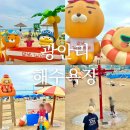 부산광역시 수영구 광안해변로 219   (광안동) 수영구 생활문화센터 앞 | 광안리 해수욕장 주차장, 샤워장, 세족장, 드론쇼