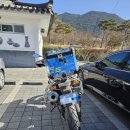 창녕 | 🖼창녕 박물관 관람 후기