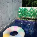 펜션1996 | ☀️ 한적한 여유, 청도 &amp; 경산 1박 2일 여행 (feat. 왓더버거, 청년정육마켓, 카페1996, 몽짬뽕)