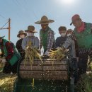 묘량중앙초등학교 이미지