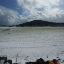 우도공업사 이미지