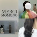 메르시모몽 | 사당 미용실 메르시모몽 퍼스널컬러 염색 받은 솔직후기 by 이수 디자이너