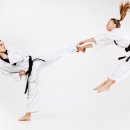 다원태권도장 이미지