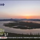 순천만 습지 이미지