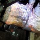 플러스카센타 이미지