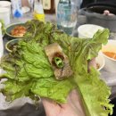 홍성한우돈직판장 - 유성구 장대로 9 | 홍성한우돈직판장