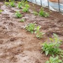 웃말농장 이미지