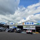 성산읍 고성오일장 이미지