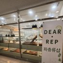 디어릴리 | 세종 파충류샵 디어렙 세종보람점 크레스티드게코 분양후기