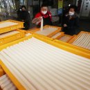 산성시장11 이미지