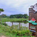 순포습지 이미지