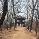 정장군 | [장군정 탐방기] 양천구의 숨은 보석, 장군정에 다녀왔습니다! (산책 코스, 주차, 맛집 정보 총정리)